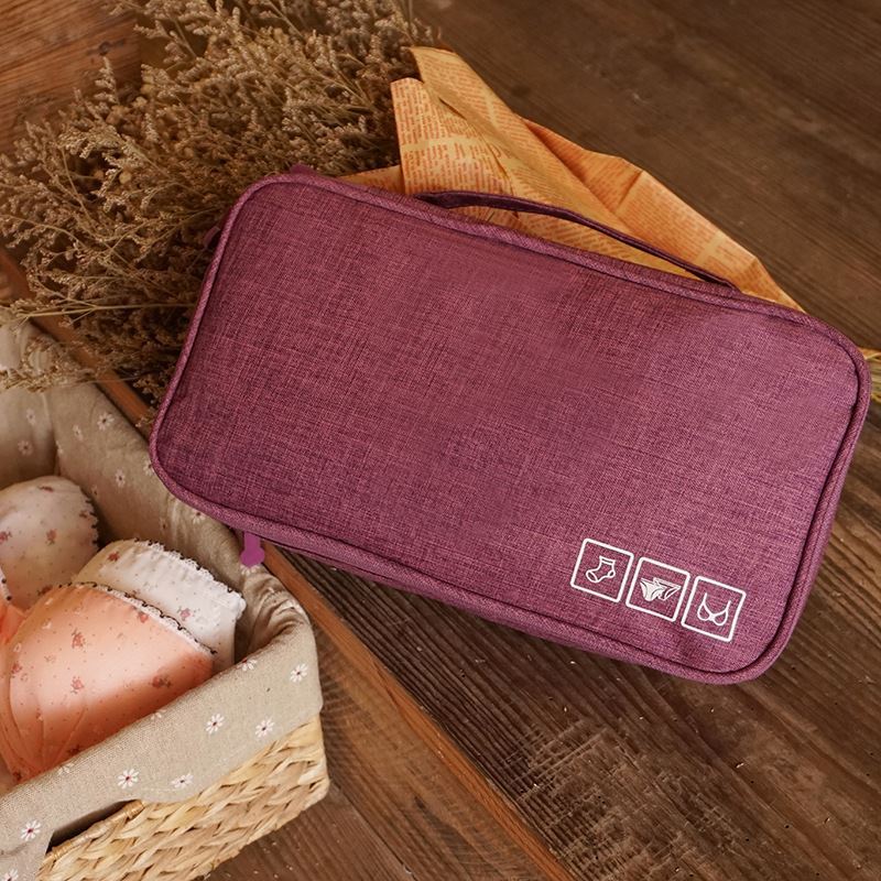 속옷 보관 가방, 여행 브라 정리함, 여성/남성 양말, - Men'S Accessories Wardrobe 리뷰 및 가격